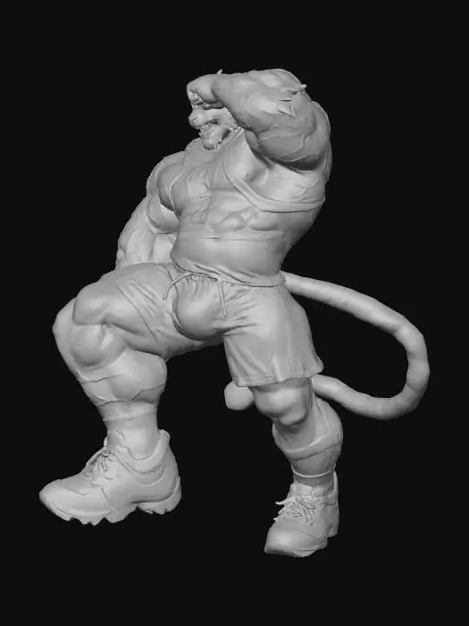 3D model for Tiger Slam Dunk