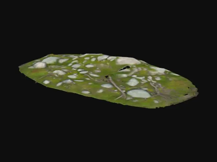 3D model for High-detail 3D undulating grassland with bumps/dips, mixed with irregular rocks (small pebbles to medium boulders). Realistic overgrown grass: patchy greens, subtle variations. Weathered rocks with moss/fractures. Add twigs/dry leaves. Natural lighting, soft shadows for depth. Gritty organic style for games/simulations.