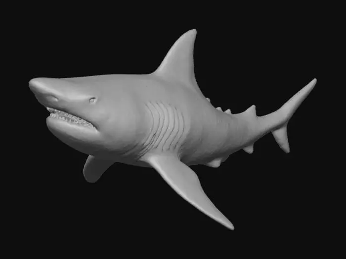 3D model for Radioactive Shark