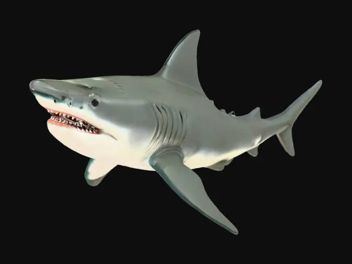 3D model for Radioactive Shark