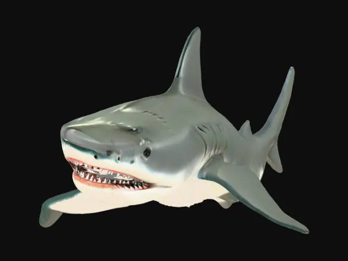 3D model for Radioactive Shark