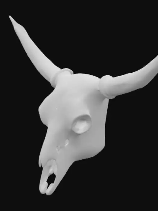 3D model for Western engrved markings on a  Texas longhorn skull with horns