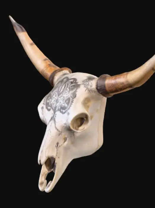 3D model for Western engrved markings on a  Texas longhorn skull with horns