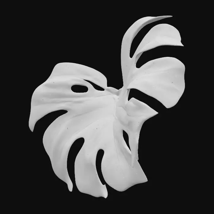 3D model for a luscious monstera plant, giant leaf, no pot