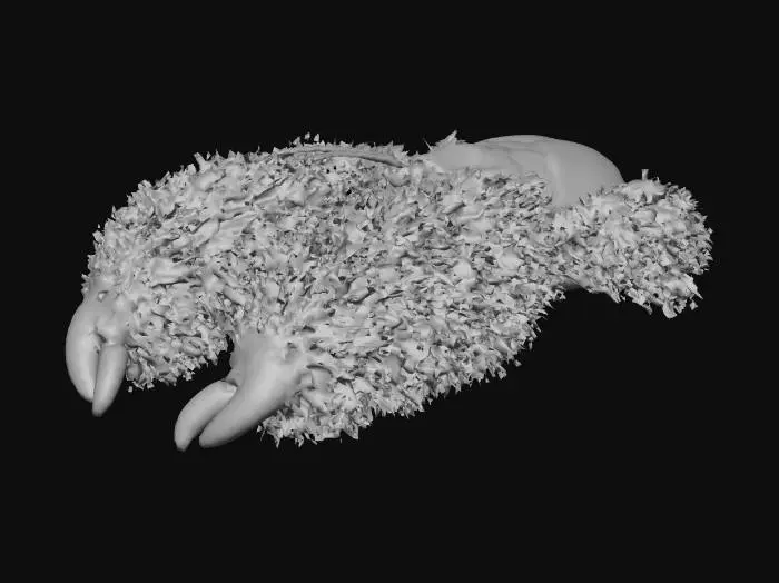 3D model for Furry Crab