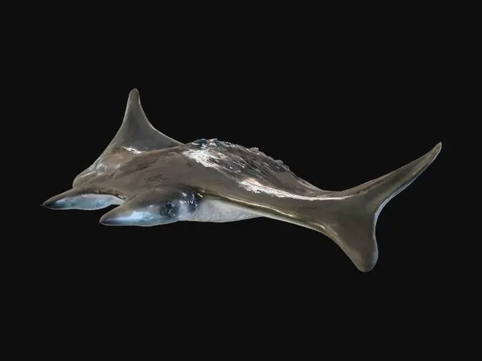 3D model for Flying Manta Ray