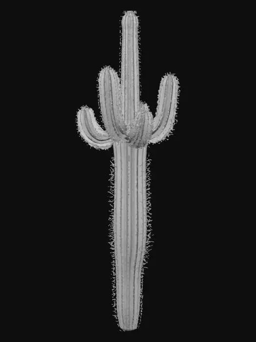 3D model for Desert Sentinel