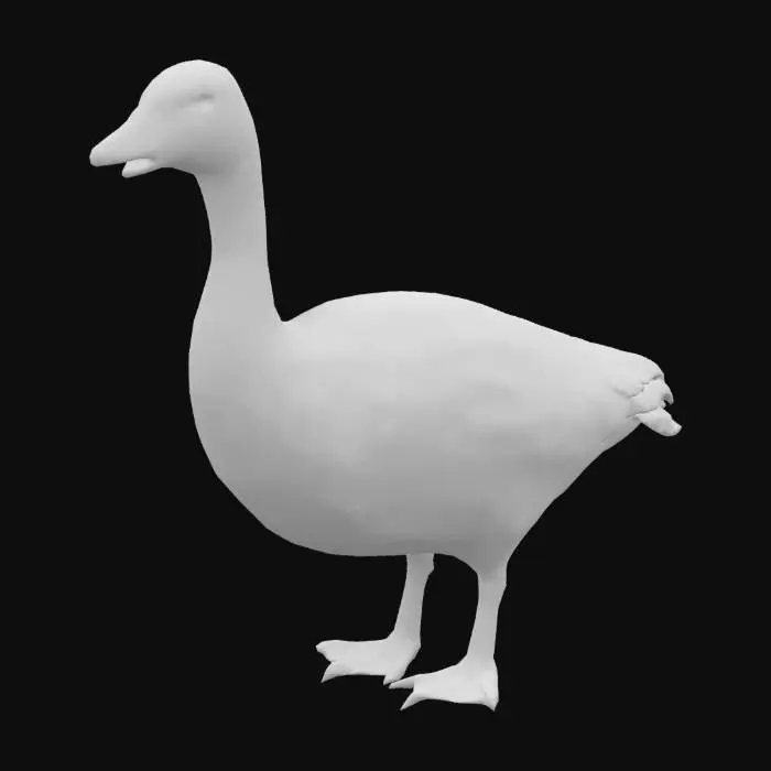 3D model for Graceful Goose