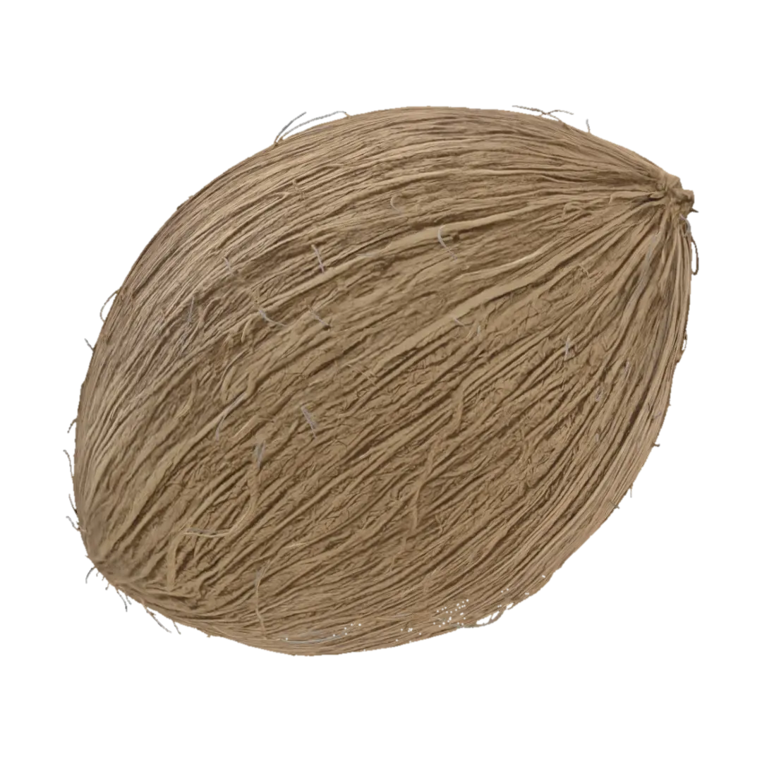 Golden Coconut 3D model, vytvořený pomocí AI