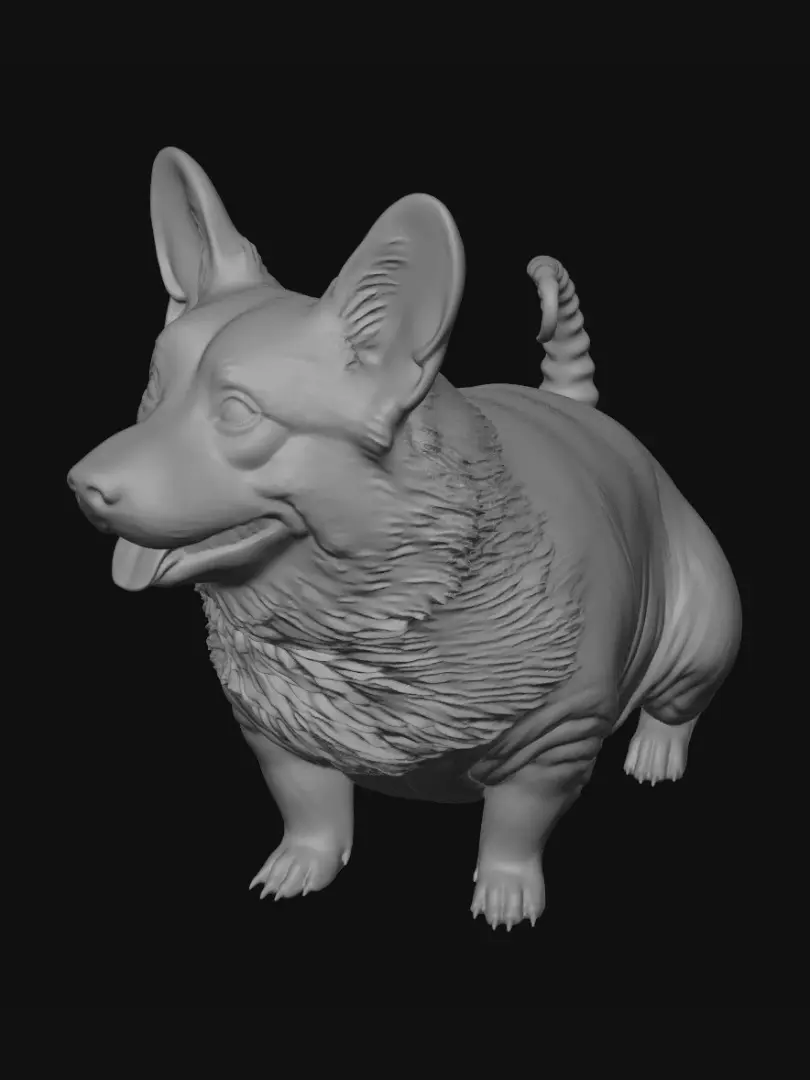 rodent