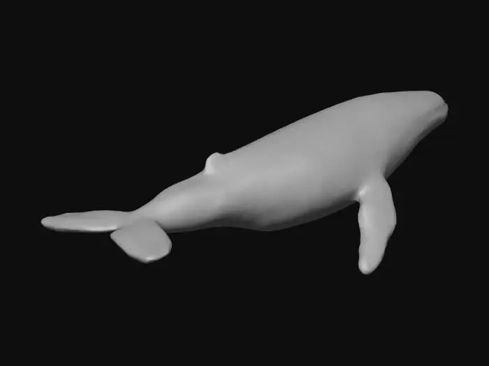 3D model for Crypto Whale Odyssey