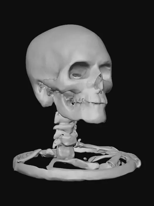 3D model for Timeless Reflection