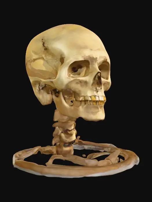 3D model for Timeless Reflection