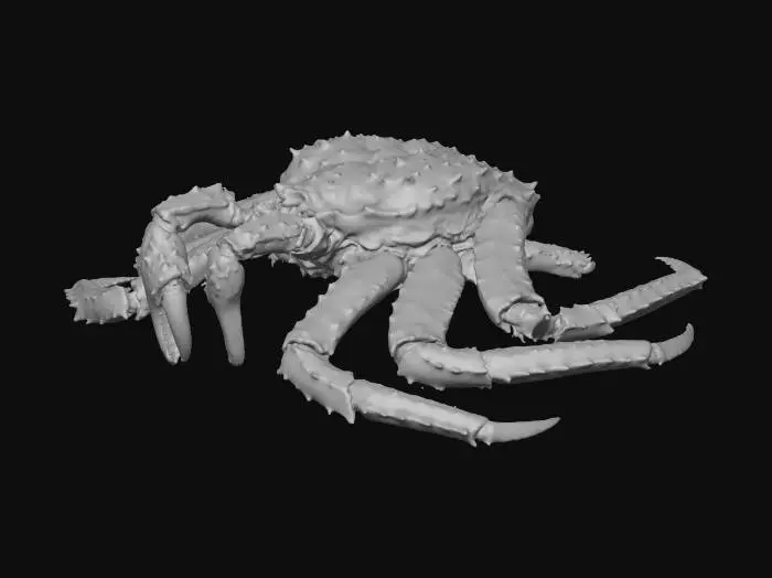 3D model for Crimson King