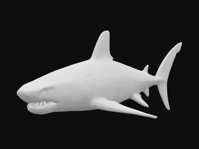 3D model for #ocean#, Great White shark from the movie Jaws