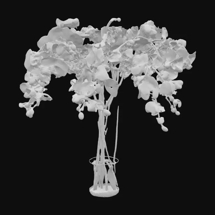 3D model for Orchid Elegance