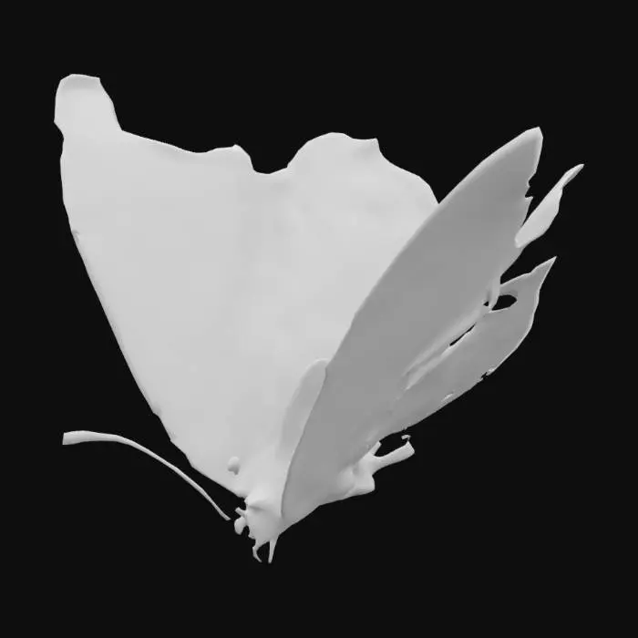 3D model for Vivid Splendor