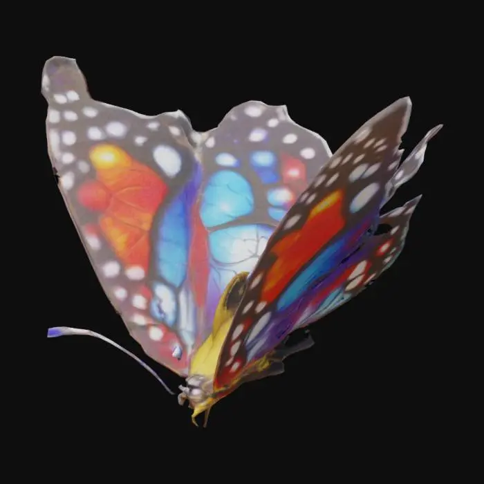 3D model for Vivid Splendor