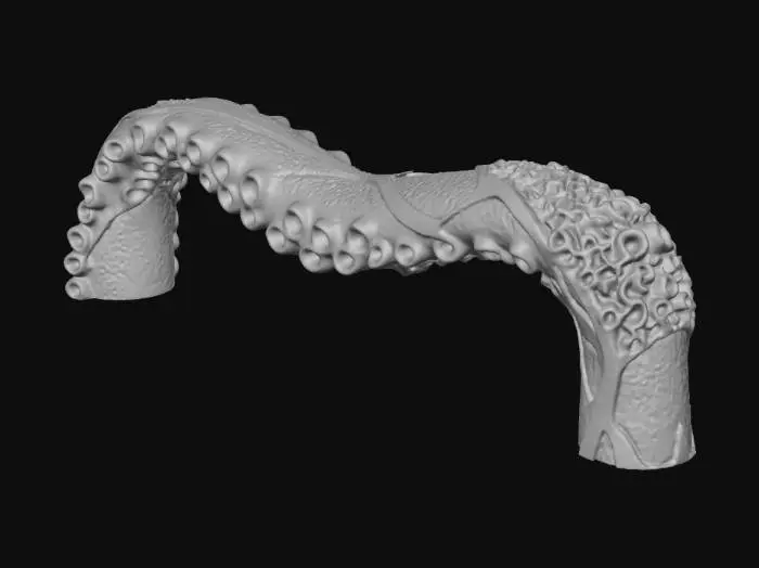 3D model for A cabinet handle shaped like an octopus tentacle, elegant and detailed, with realistic suction cups along the underside. The tentacle curves gracefully, high detail, oceanic and gothic aesthetic.