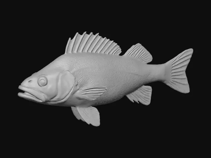 3D model for Perch Elegance