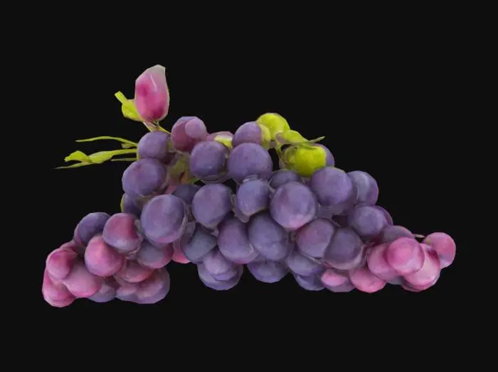 3D model for Purple Grapes