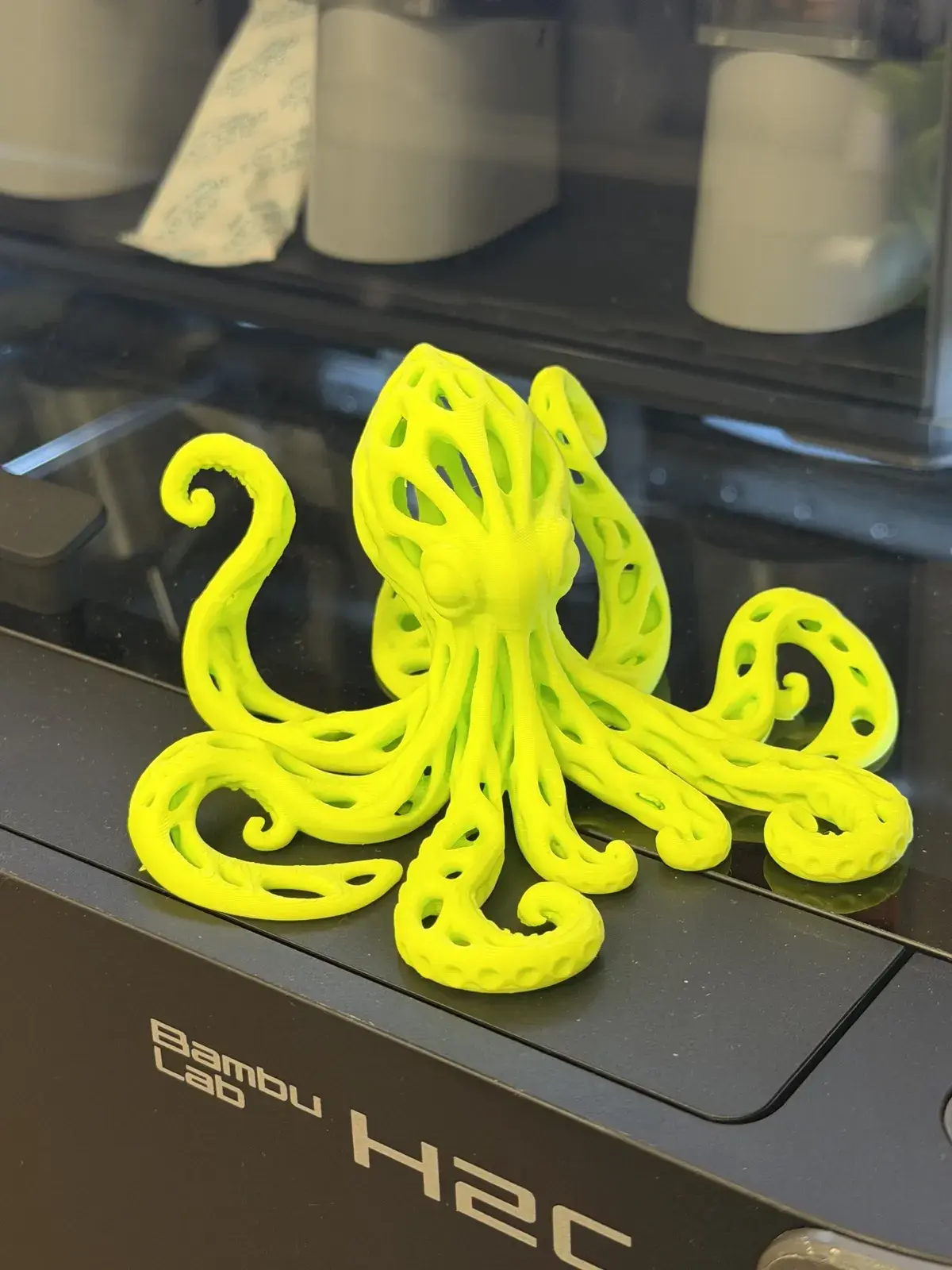 Lattice / Voronoi Octopus Sculpture 3D print file — real print photo by Lyn Davies