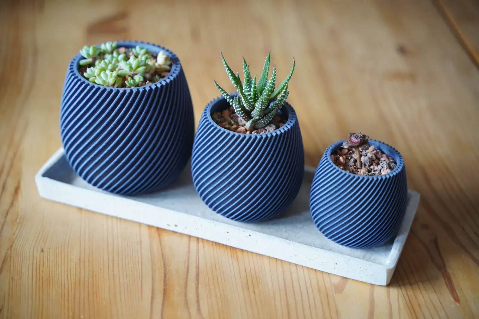 Modern Spiral Planter