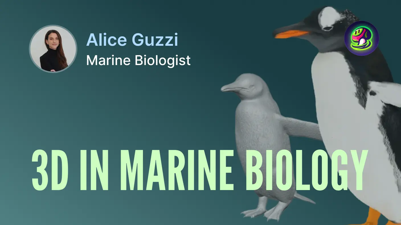 Překonávání vzdáleností: Jak Alice Guzzi a APECS Italy činí polární vědu hmatatelnou s Meshy