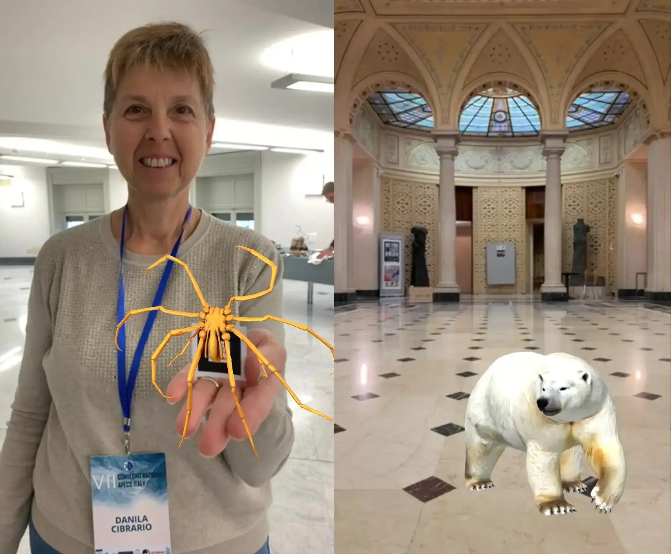 interactive-3d-models-spider-bear