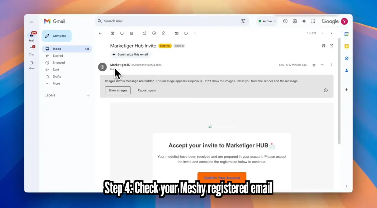 Step 4 Check your meshy registered email
