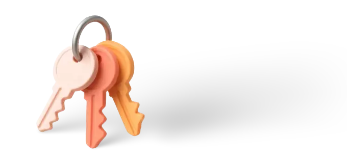 Single Sign-On (SSO)