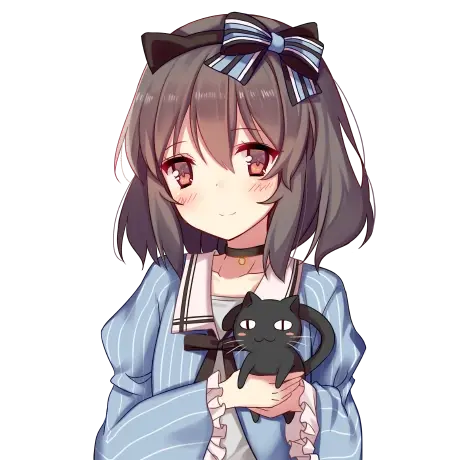 Bin Wang, Senior Infrastructure Engineer 