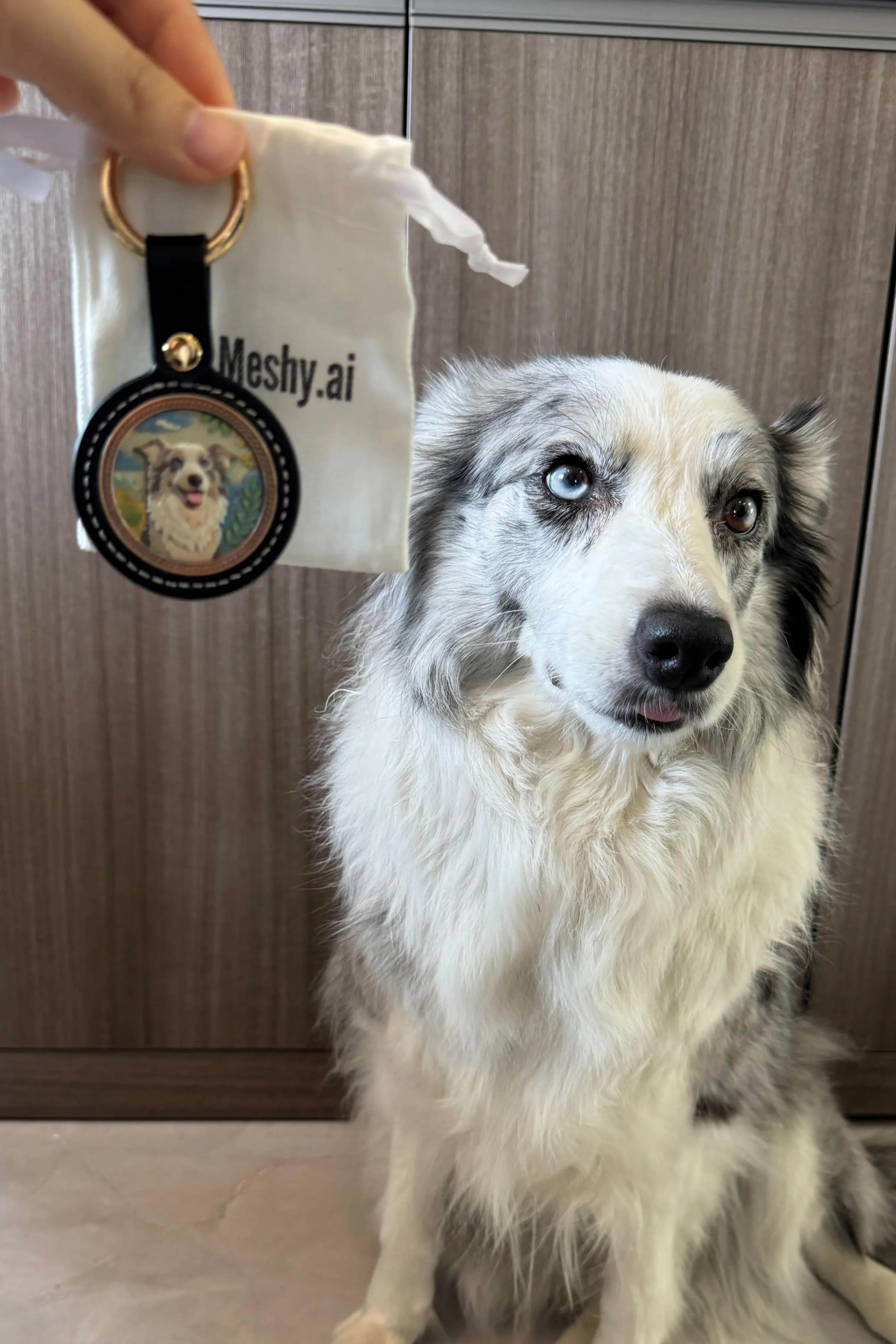 Користувацьке фото для відгуку про брелок для улюбленця від Hannah