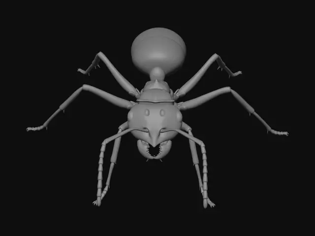 3D model for Copper Ant in Profile