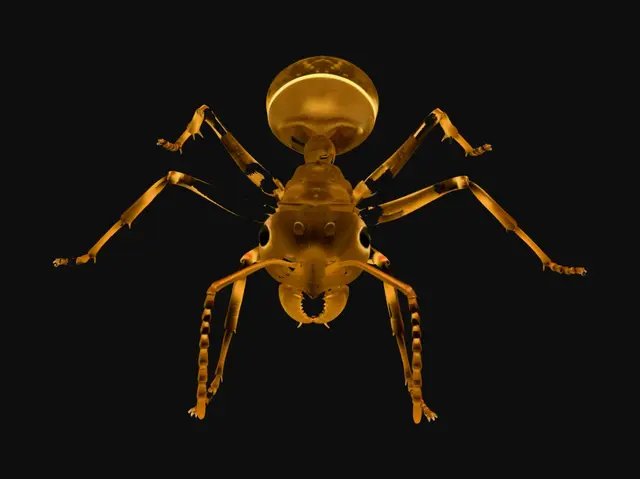 3D model for Copper Ant in Profile