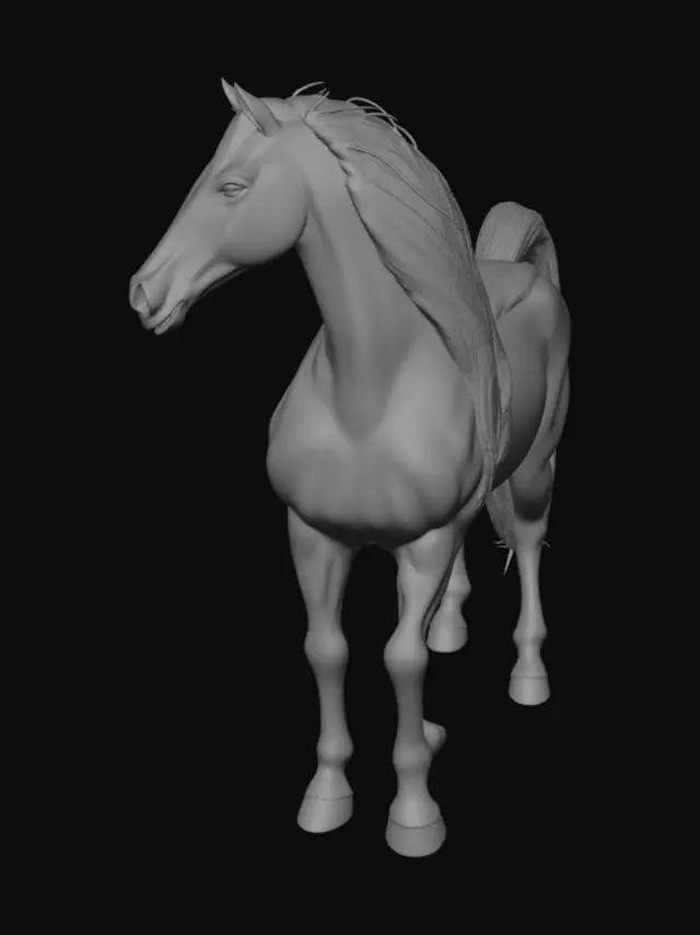 3D model for Thiết kế một con hắc lông dài