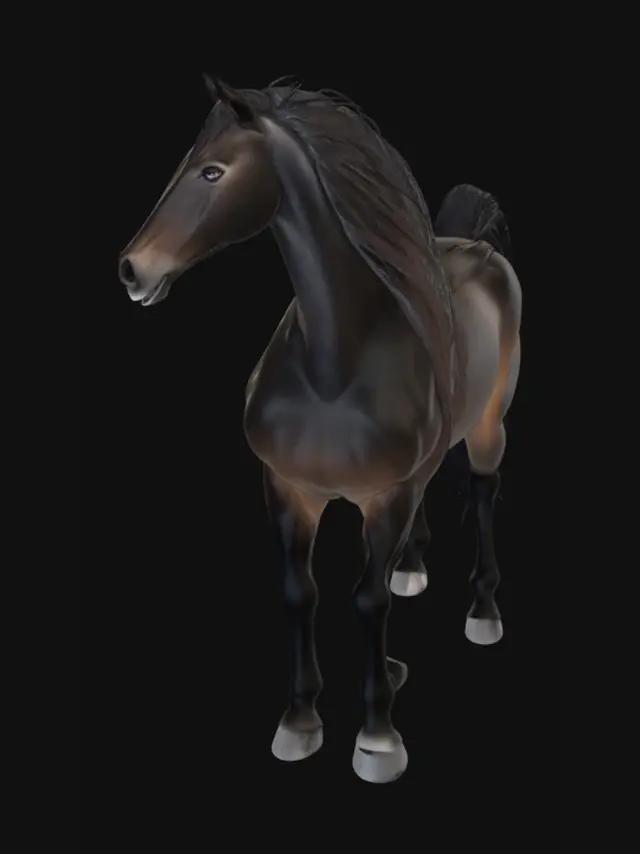 3D model for Thiết kế một con hắc lông dài