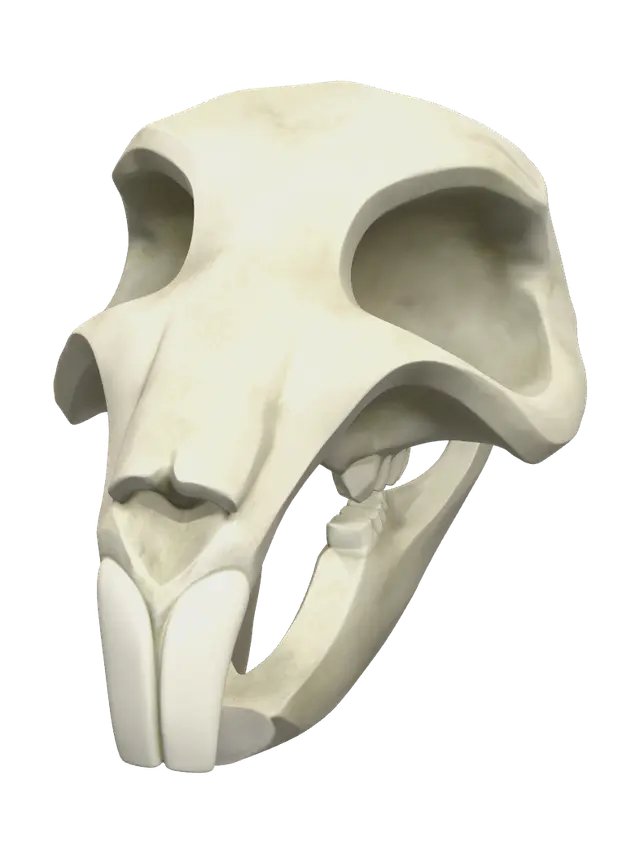 Modern Rat Skull - Xray 3D model, vytvořený pomocí AI