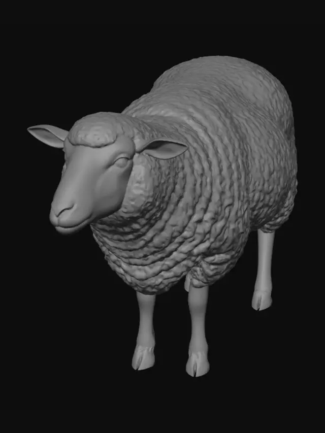 3D model for Woolly Wonder