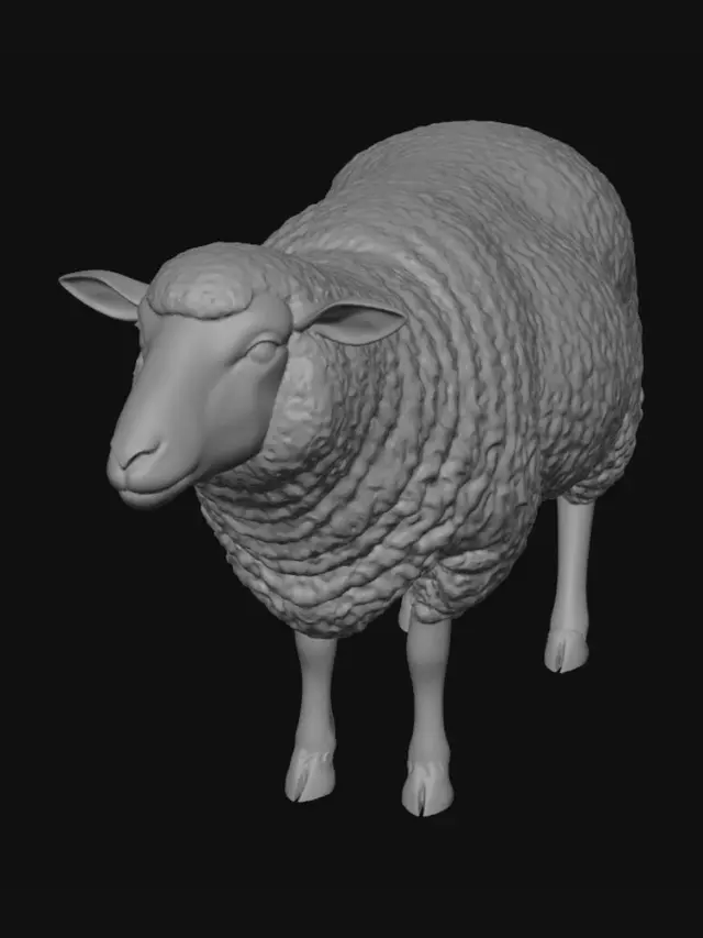 3D model for Woolly Wonder