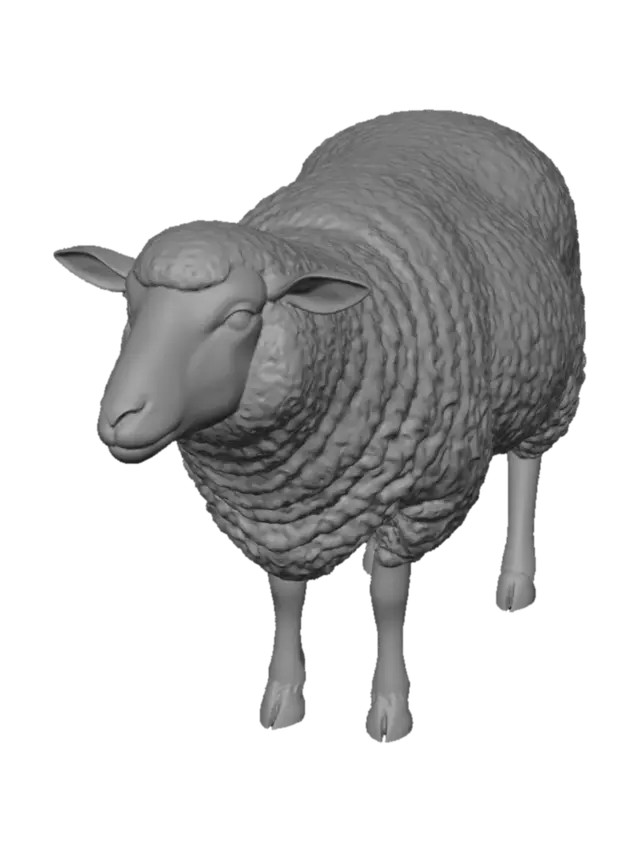 3D model for Woolly Wonder