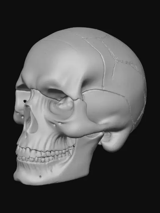 3D model for Modern Skull Sculpture
A stylized skull carved from faux travertine with simplified features and smooth geometry. Matte stone finish, subtle pores, warm light highlighting texture. Feels handcrafted, elegant, and minimalist — modern Halloween sculpture for large display.