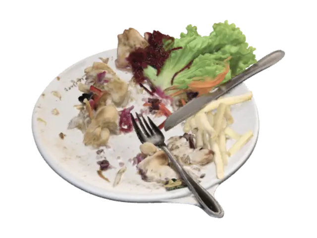 3D model for Leftover Plate: Chicken, Salad and Fries