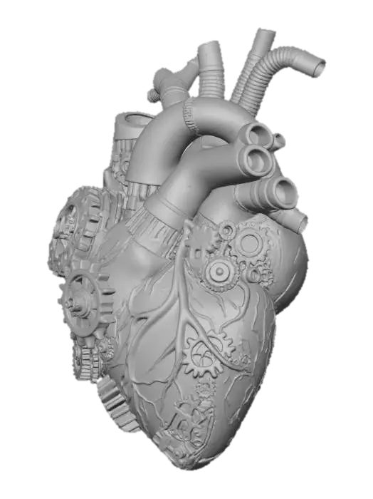 3D model for Mechanized Heart