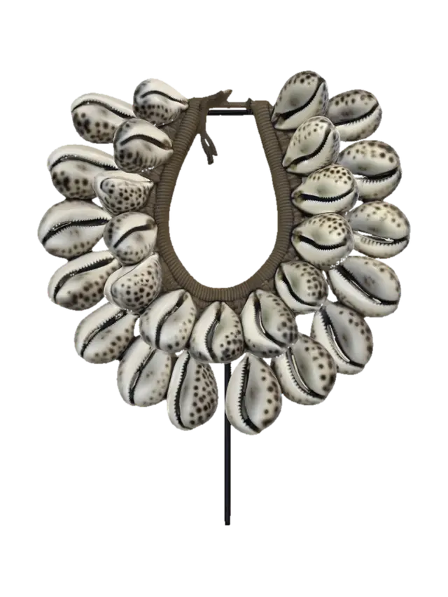 3D model for Cowrie Shell Necklace