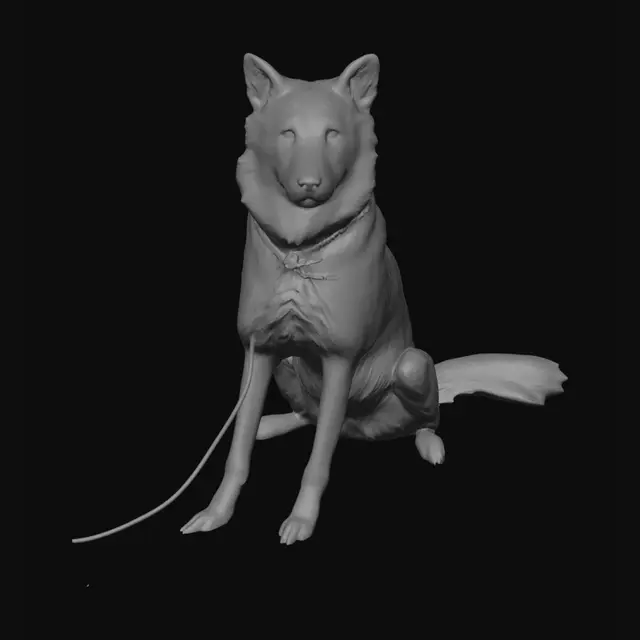 3D model for Husky in the Garden