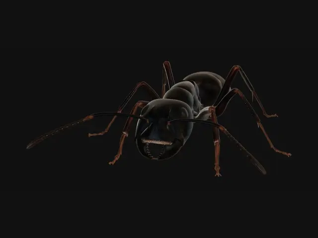 3D model for Carpenter Ant on a Wooden Surface