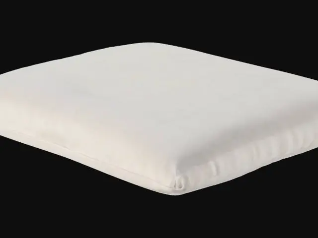 3D model for Thin simple plain seat cushion with a flat white fabric texture without creases or folds