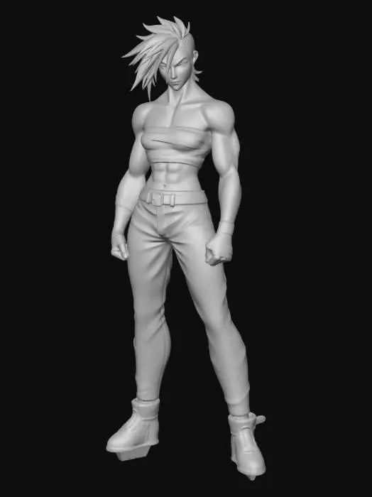 3D model for Bandaged Fury