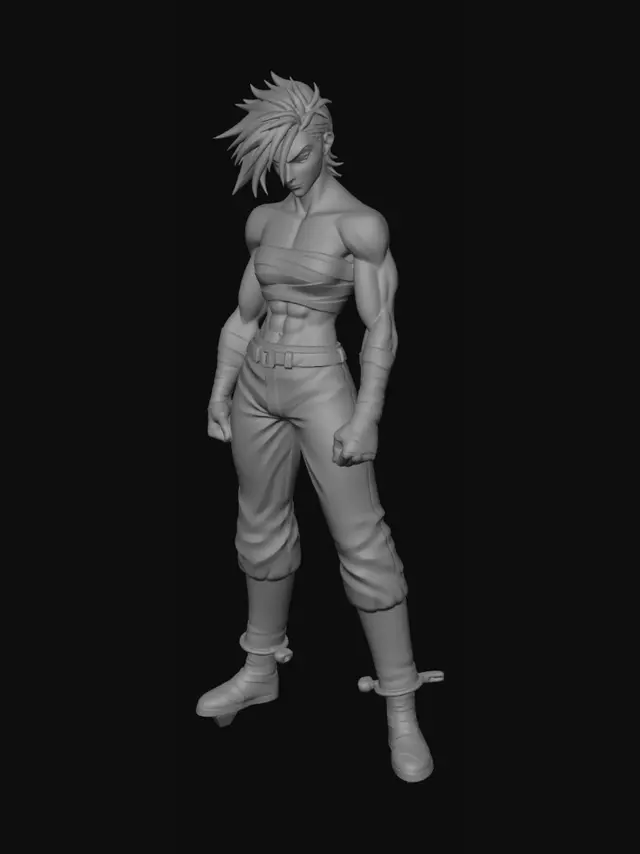 3D model for Bandaged Fury